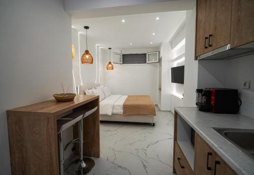 Karpenisi Apartment | Athens City-Break Studios- near Acropolis