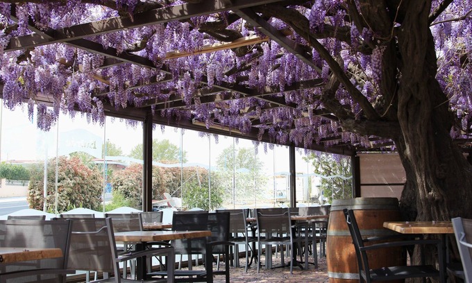 Argeles-sur-Mer Hotel | Auberge du bon vivant