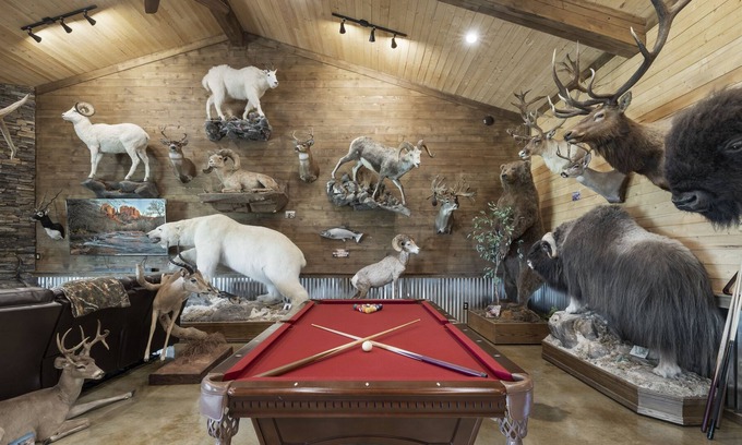 Dale House | Austin Hunters Paradise