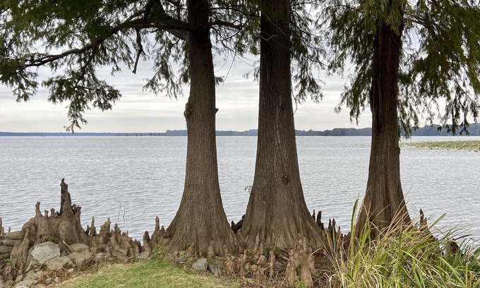 Samburg House | Authentic Reelfoot Retreat!