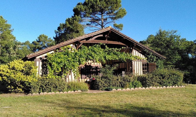 Luxey House | Authentic vast 1850 Landes farmhouse in the heart of the forest with no neighbors 30 p