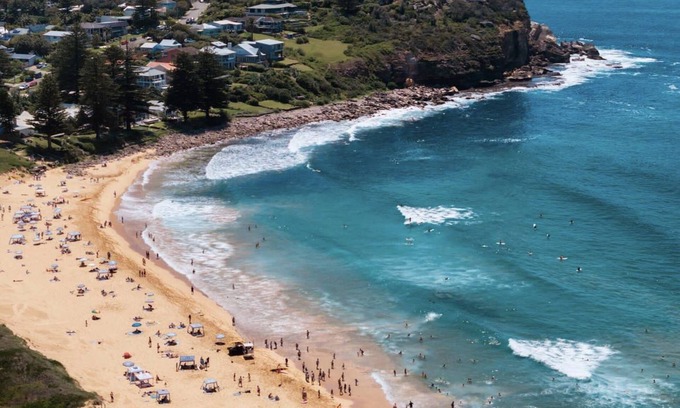 Avalon Beach Cottage | Avalon Beach Cottage