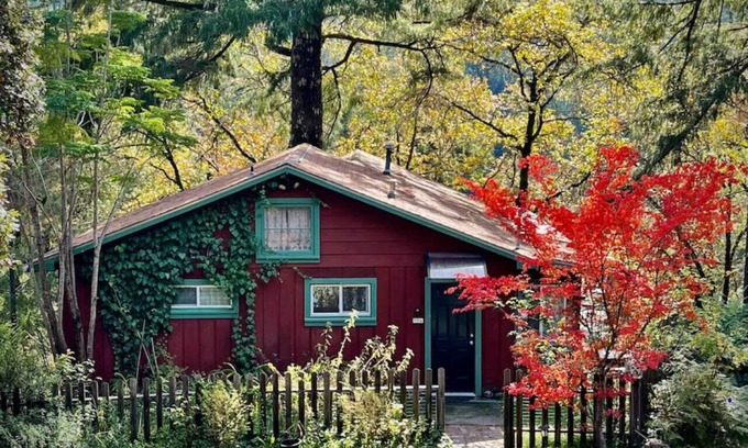 Myers Flat Apartment | Avenue of the Giants Caraway Cottage (#3)