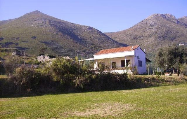 Gaeta House | AZIENDA AGRICOLA 25 PONTI