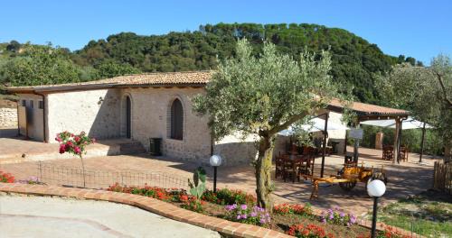 Zaccanopoli House | Azienda Agrituristica Caridà