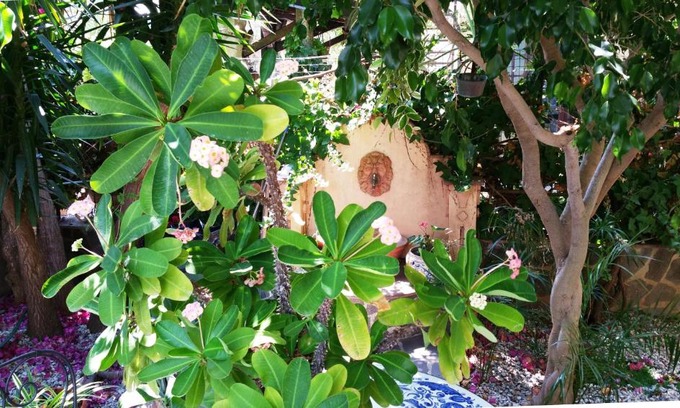 Capo d'Orlando Bed & Breakfast | B&B Le Terrazze