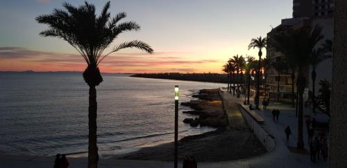 Torrevieja Apartment | BAJAMAR
