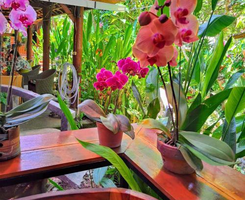 Sanur Resort | Bali Kembali Hotel