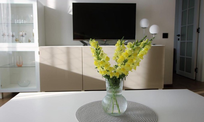 Palanga Apartment | BAM apartments