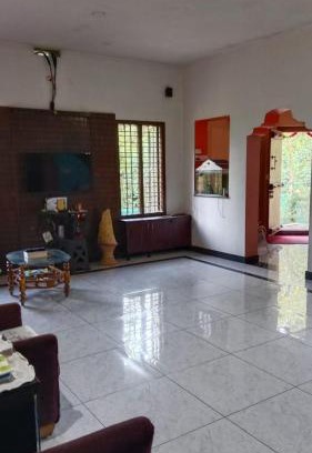 Mudigere House | Bamboo river view homestay
