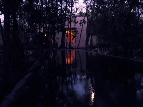 Macario Gomez House | barefoot jungle studios