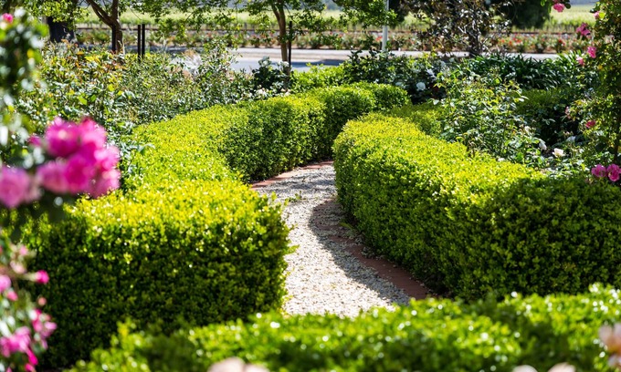 Tanunda Bed & Breakfast | Barossa House