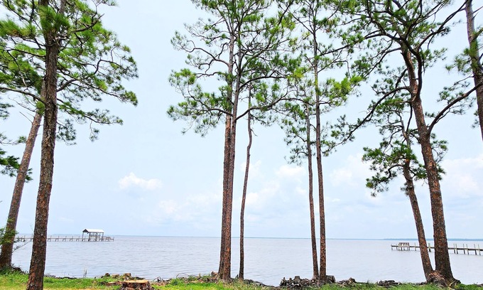 Eastpoint House | Bayfront Home just minutes from St. George Island! Sleeps 8! Private Estate!