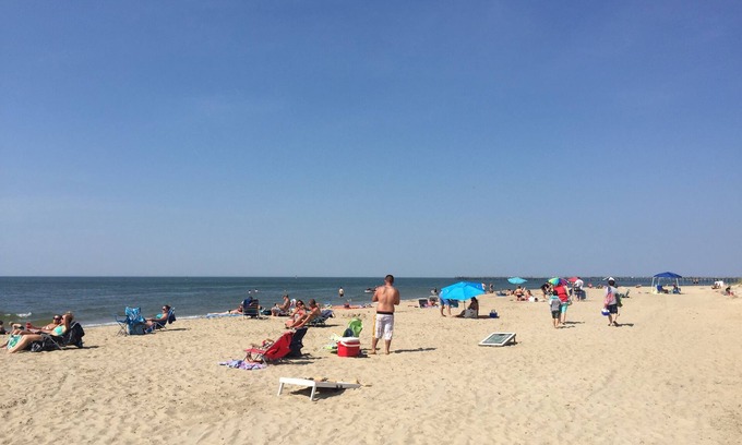 Northeast Virginia Beach Condo | Beach Condo, Walk To The Beach