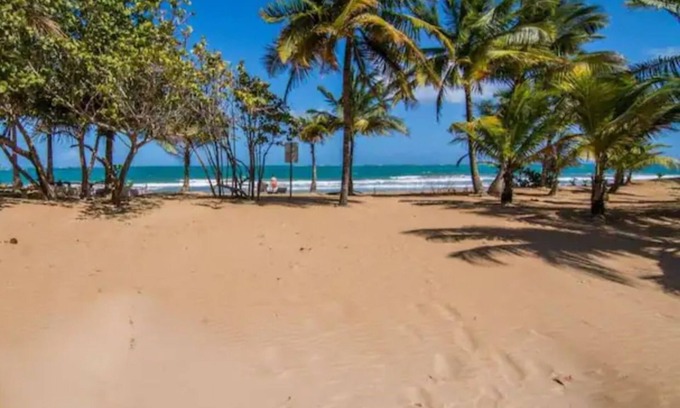 Isla Verde Resort | Beachside Adventure Suites