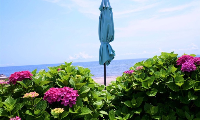 Devon House | Beautiful Beachfront Cottage Leading Directly To Your Own Sandy Beach