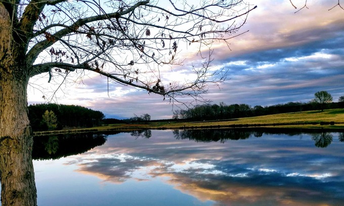 Edgefield Cabin | Beautiful Cabin with scenic views for Corporate Events & Family Vacations