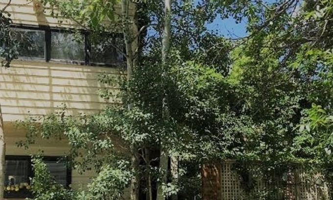 Cherry Creek House | Beautiful Cherry Creek Gem !Spring Special !