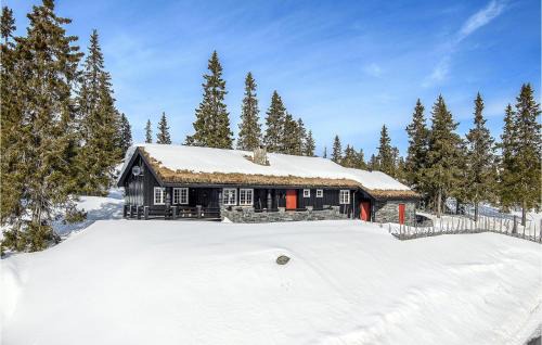 Sjusjoen House | Beautiful Home In Sjusjøen With Kitchen