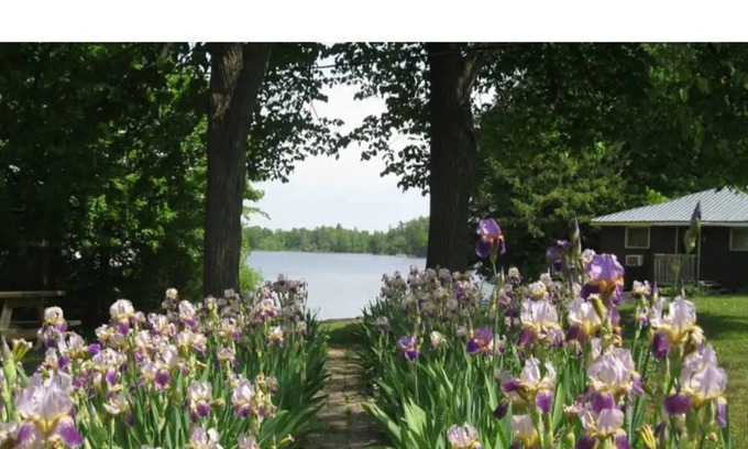 Frontenac Cottage | Beautiful Lake Front 2BR Cottage