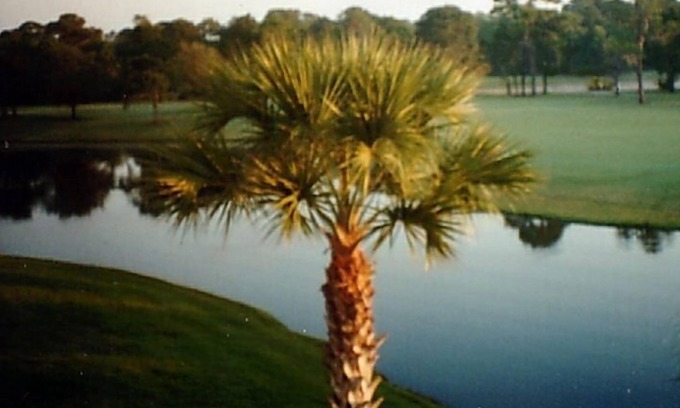 Braden River Condo | Beautiful Meadows Condominium Picturesque water and golf views