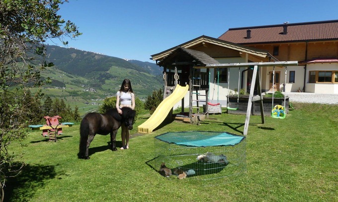 Niedernsill Villa | Beautiful private villa for 24 people with WIFI, TV, terrace and pets allowed