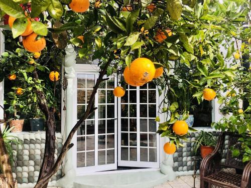 Mexilhoeira Grande House | Beautiful small House in Algarve Portugal