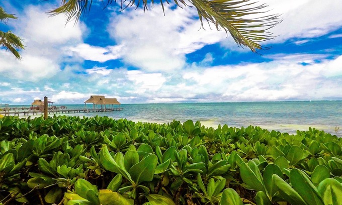 Puerto Juarez Apartment | Beautiful Suite double beach front