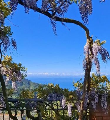 Moneglia Bed & Breakfast | Bed&Breakfast Bella Vita