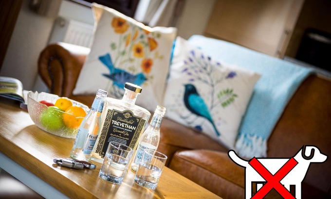 Otterham Apartment | Beech Lodge- Orchard Lodge No 2
