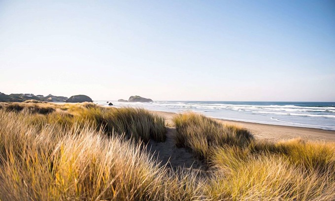 Bandon Hotel | Best Western Inn At Face Rock