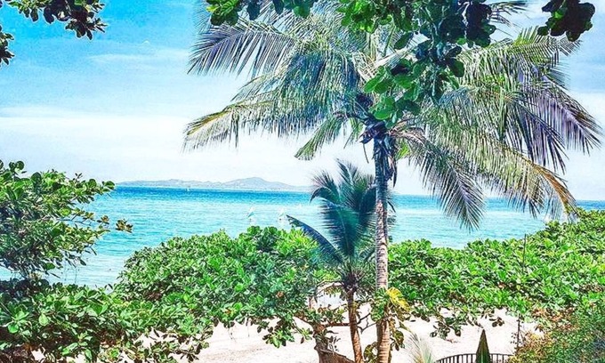 Pratumnak Hill Hotel | Birds and Bees Resort