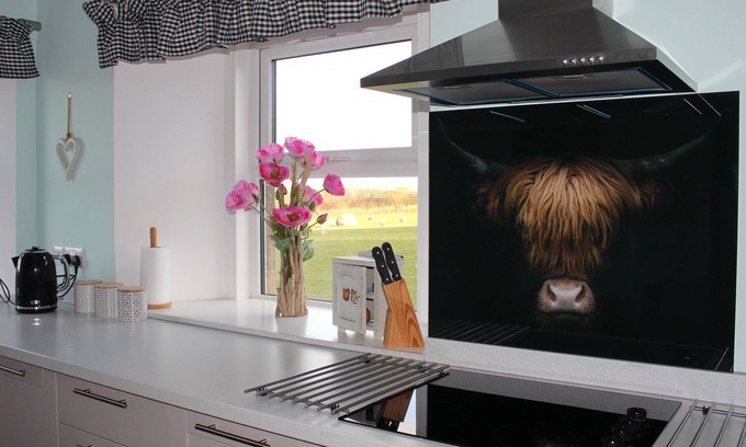 Jedburgh Cottage | Birds Nest