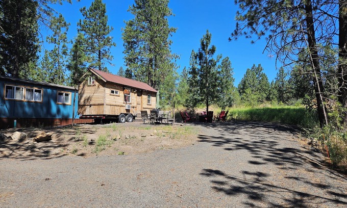 Thorpe Westwood House | Black Bear Bungalow:Cozy tiny home in enchanting wooded Spokane with AC