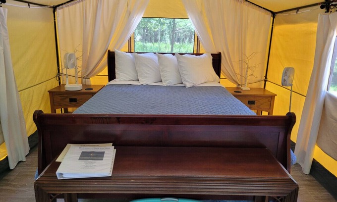 Mid America Apartment | Black Fox Den: A Woodland Glamp - Dog Friendly!