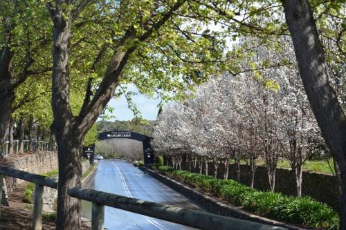 Tanunda House | Blackbird Cottage - Stunning views & farm animals