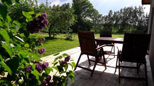Blanki Apartment | Blanki Siedlisko agroturystyczne Jestem