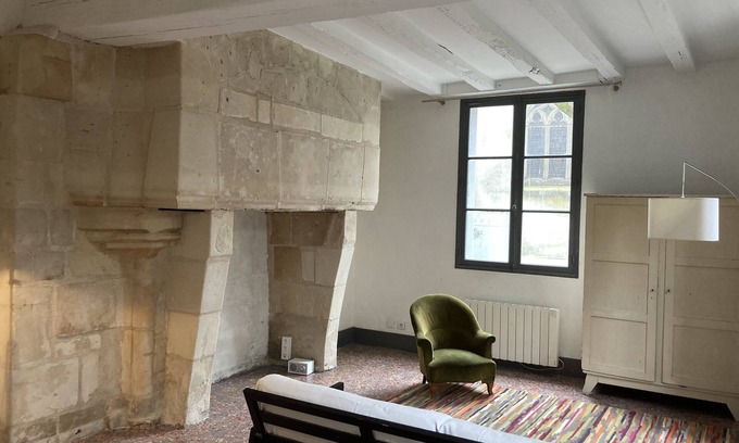 Old Town Apartment | BLANQUI-LOFT Large 1 room apartment in quiet area of Tours