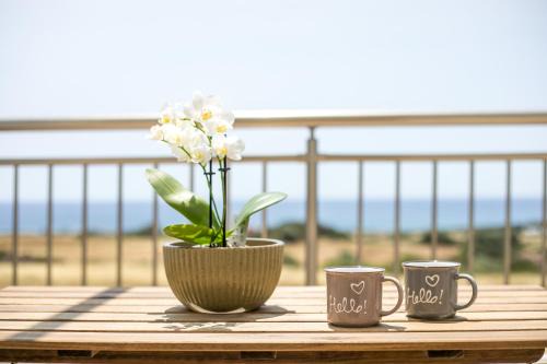 South Rhodes Apartment | Bless View Studios