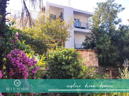 Sutomore House | Blue Maris