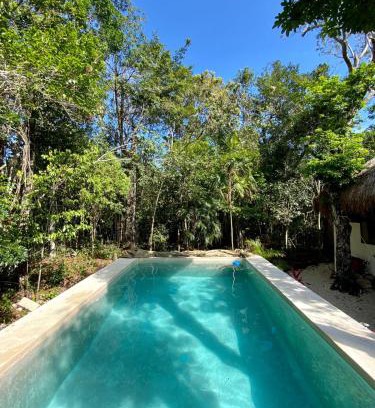 Chemuyil Cabin | Blue Monkey Chemuyil