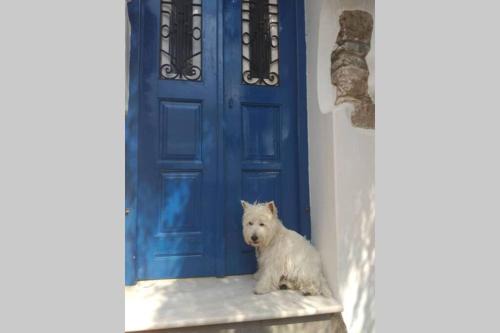 Galini House | Blue & White: An Absolute Aegean dream house