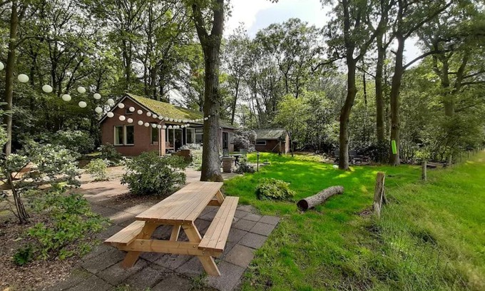 Doldersum House | Boshuisje Doldersum: omheinde tuin en uniek uitzicht