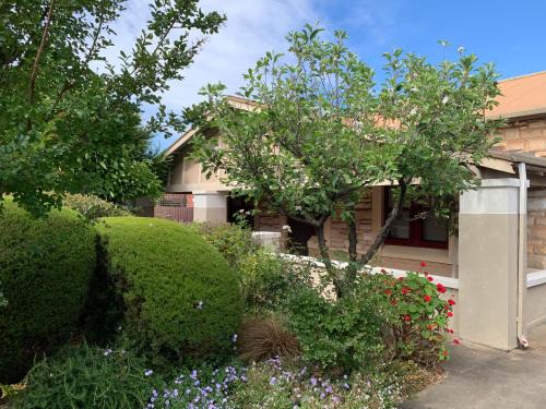 Everard Park House | Botanic Bliss Bungalow