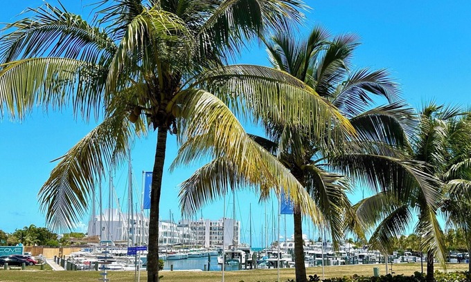 Palm Cay Apartment | Bougainvillea! Luxury apartment, marina & beach access!n10/10 Excellent!