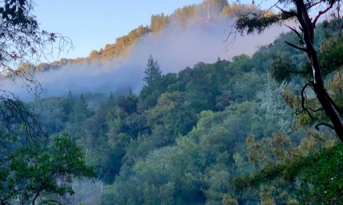 Napa Apartment | Breathtaking Napa Valley 30-day rental!