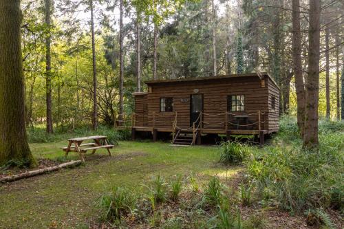 Middlemarsh Other | Bridgewood Camping - CABIN