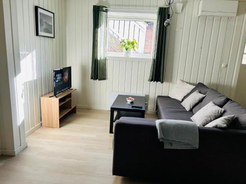 Lillehammer Apartment | Bright and nice downtown apartment