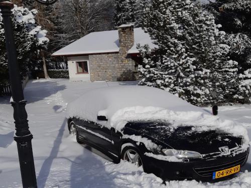 Randogne Ski Chalet | Bright Chalet with Terrace