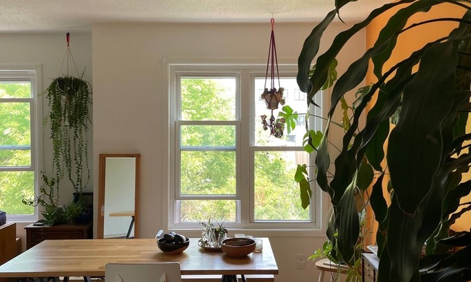 Bushwick Apartment | Brooklyn Bungalow